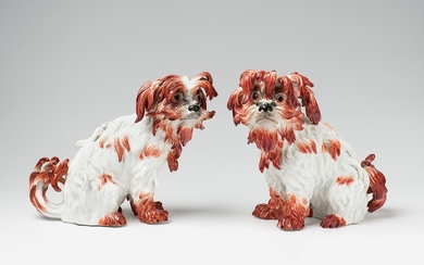 Two Meissen porcelain models of Bolognese dogs