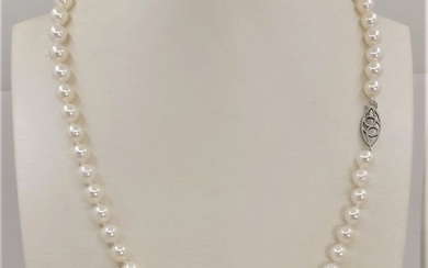 6.5x7mm Akoya Pearls - 14 kt. White gold - Necklace