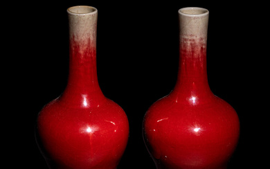 A Pair of Chinese Sang-de-Boeuf Glazed Porcelain Bottle Vases