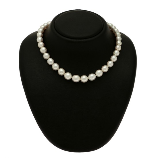 A South Sea pearl necklace set with numerous cultured South Sea pearls with a magnetic clasp of 14k white gold with a satin finish.