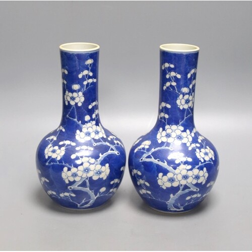 A pair of 19th century Chinese blue and white porcelain prun...