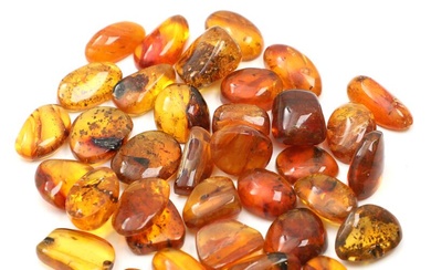 A selection of polished amber with insect inclusions. Total weight app. 59...