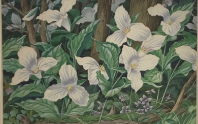 Albert Joseph Casson (1898-1992), colour print - White Trillium, signed