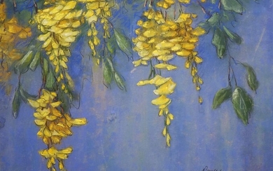 Albert Klein Sprokkelhorst (1887-1968), Gouden regen, gesigneerd r.o., pastel, 42 x...