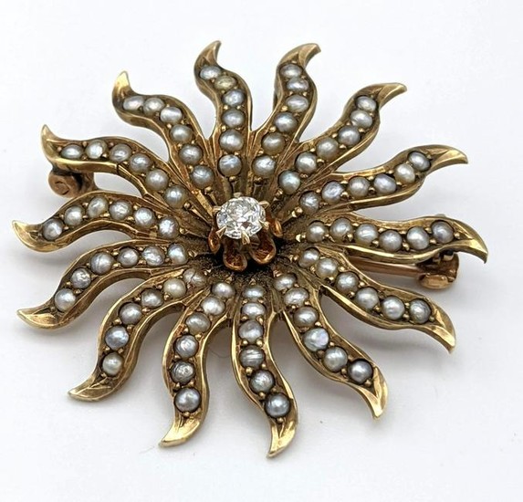 Antique 10k Yellow Gold Seed Pearl Sunburst Pin. Peacoc