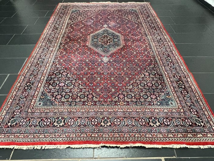 Bidjar - Carpet - 305 cm - 200 cm