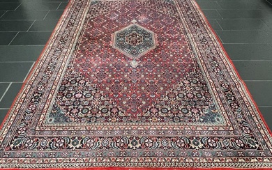 Bidjar - Carpet - 305 cm - 200 cm