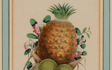 Chinese School circa 1875 Pineapple and Flowers