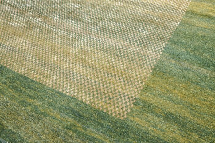 Gabbeh Loribaft sehr fein - Carpet - 284 cm - 198 cm