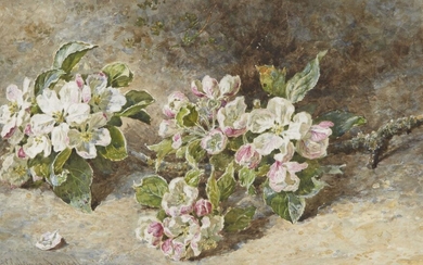 Helen Cordelia Angell Colman, British 1847-1884- Flowers...