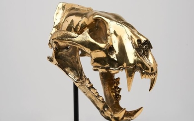 High quality, bronze-cast Sumatran Tigerskull -Panthera tigris sumatrae - 31×28×20 cm