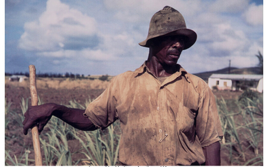 Jack Delano (1914-1997), Farm Security Administration Borrower, Frederiksted, St. Croix, Virgin Islands (1941)