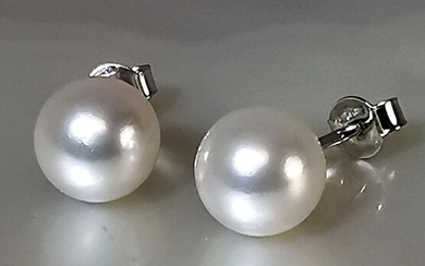 #LOW RESERVE PRICE# - 18 kt. Akoya pearls, White gold, Round shape Ø 8x8,5 mm - Earrings