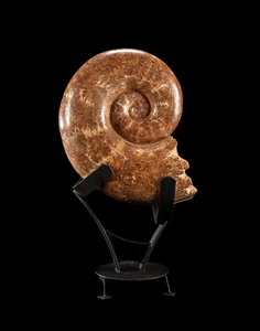 Large and Impressive Madagascan Ammonite