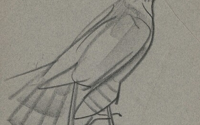 Mathurin MEHEUT (1882-1958) « Oiseau profil droit » crayon gras non signé CP08 33x25