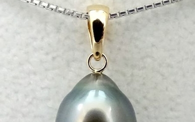 NO RESERVE PRICE - Tahitian pearl, Seaside Drop-Shaped 11.06 X 13.4 mm - Pendant, 18 kt. Yellow Gold