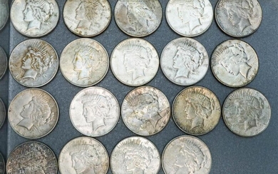 Nineteen Peace-Type Silver Dollars