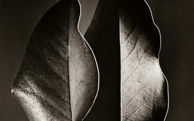 RUTH BERNHARD (1905-2006) The Gift of the Commonplace