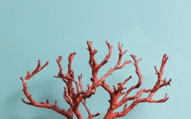 Ramo in legno ad imitazione del corallo. XX secolo