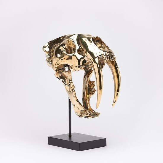 Sabre-toothed Tiger Skull in finest bronze - (Smilodon) - 38×18×32 cm