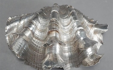 Silver Mounted Shell Dish, W: 6 in