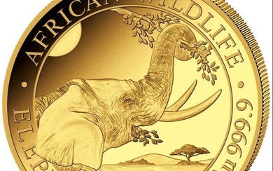 Somalia. 100 Shillings 2023 Elephant - 1/10 oz Goldmünze Elefant African Wildlife 2023 - Somalia - Anlagemünze