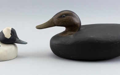 TWO DECOYS