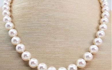 United Pearl - Top grade AAA 9x9.5mm Akoya Pearls - 14 kt. White gold - Necklace