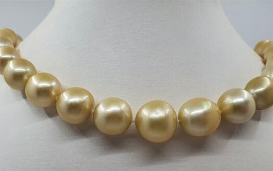 11x15mm Golden South Sea Pearls - Necklace