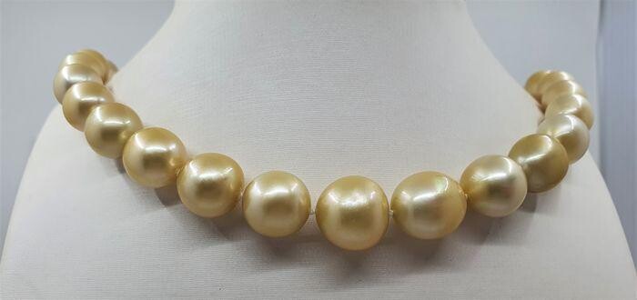 11x15mm Golden South Sea Pearls - Necklace