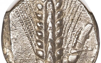 31006: LUCANIA. Metapontum. Ca. 470-440 BC. AR stater (