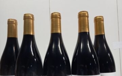 5 bouteilles de Auxey Duresse Premier Cru 2019 Bourgogne Grand Millésime Joseph Germain