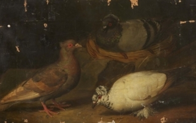 Jakob Samuel Beck, attributed to, Three Doves