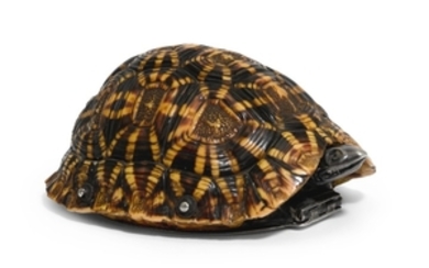 A silver-mounted star tortoise shell spice/snuff box, maker's mark only, possibly TO, a fleur-de-lys above, a mullet below, English, probably London, circa 1680