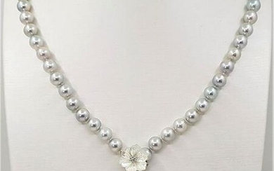 7.5x8mm Silvery Akoya Pearls - Silver - Necklace