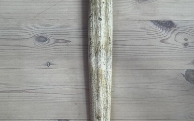 SOLD. A walrus tusk. L. 53 cm. – Bruun Rasmussen Auctioneers of Fine Art