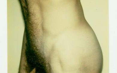 Andy Warhol (1928-1987); Sans titre (nu masculin);