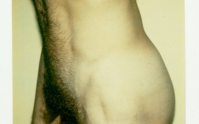 Andy Warhol (American, 1928-1987) Sans titre (nu masculin), vers 1977 impression unique Polaroid Polacolor Type...