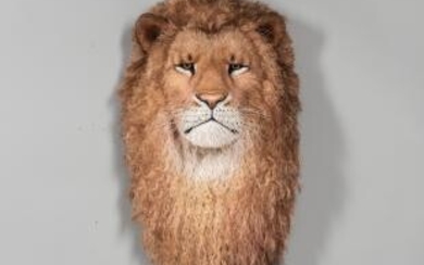 Anne Anderson (Swedish, 20th/21st Century) Fiber Lion Head Sculpture