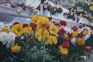 Epstein, Ruth, oil on canvas "Reds & Yellows"