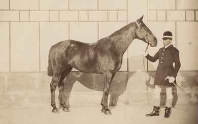 Eugène Disdéri (1819-1889) Alma, cheval monté... - Lot 6 - Ader