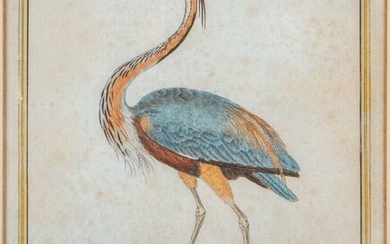 François-Nicolas MARTINET (1731 - 1804), d'après, suite de 10 gravures rehaussées représentant des oiseaux exotiques,...