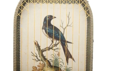 George Edwards, British 1694-1773- Two birds perched on branches; hand-coloured engravings, held in elaborately decorated frames, each signed within plate, a pair, each 38.5 x 25 cm (2)