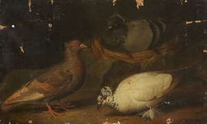 Jakob Samuel Beck, attributed to, Three Doves