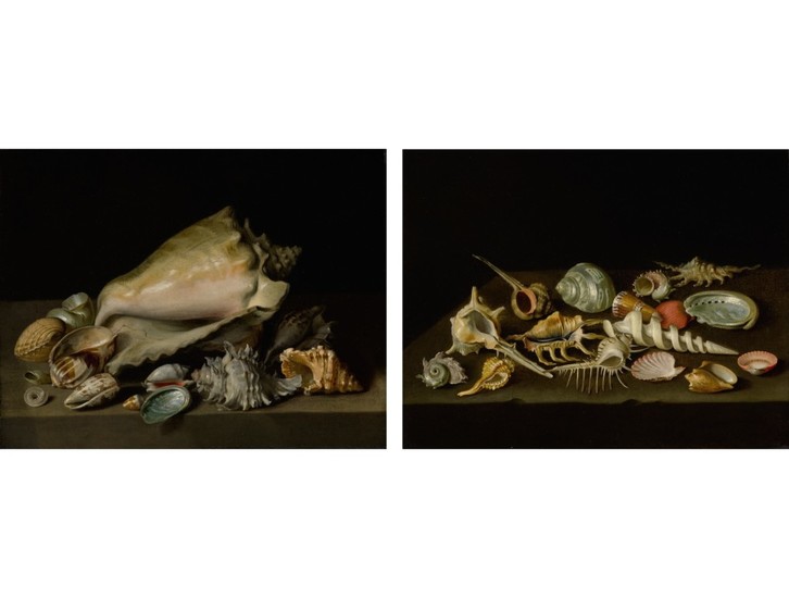 NIKOLAUS CHRISTOPHER MATTHES | STILL LIFES OF EXOTIC SHELLS ON A MARBLE LEDGE