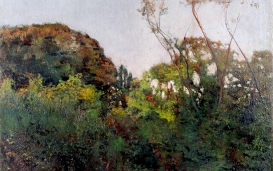Paesaggio con alberi, olio su tela, cm 56x65, firmato F. Gioli