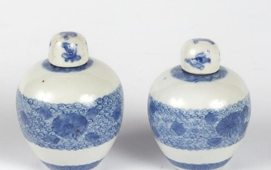 Pr: Small Chinese Blue and White Ginger Jars