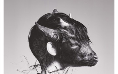 RONALD VENTURA | BLACK SHEEP
