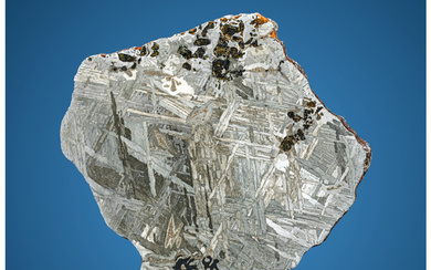 Seymchan Meteorite Slice Pallasite, PMG Magadanskaya oblast', Russia -...