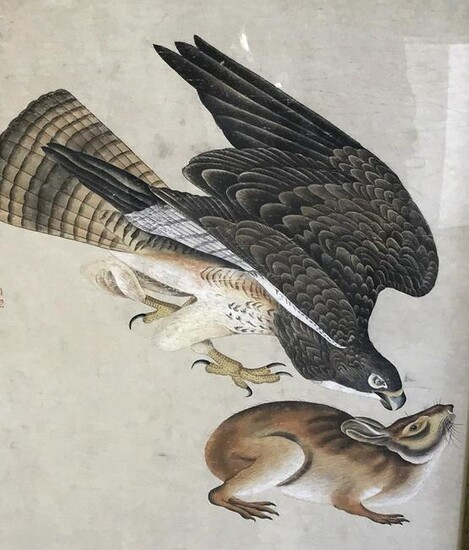Signed Chinese Hand Colored Bird With Rabbit